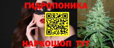 дмт Балахна