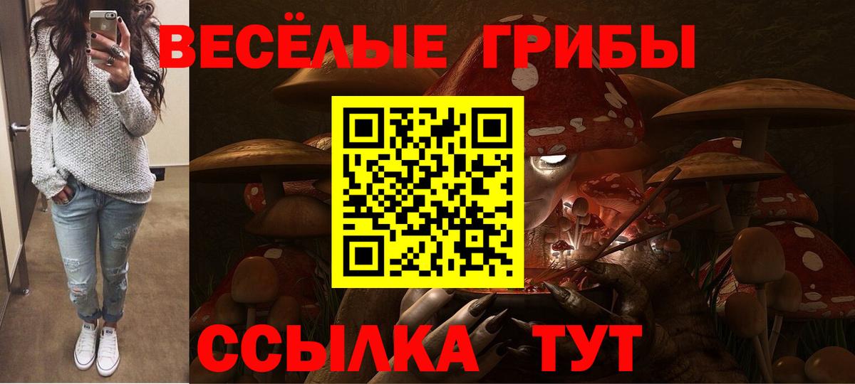Псилоцибиновые грибы MAGIC MUSHROOMS Борисоглебск