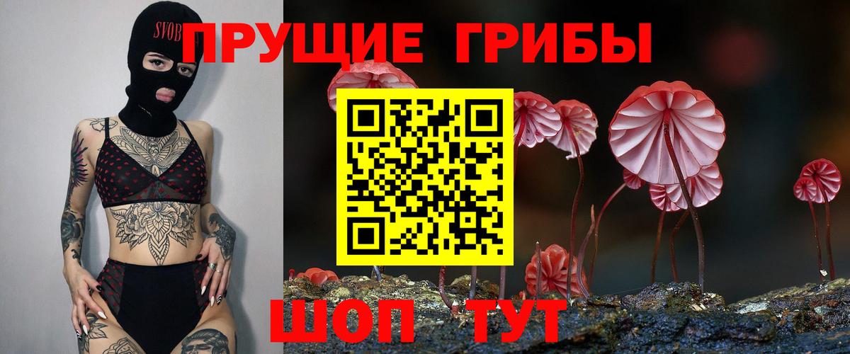 Борисоглебск  Псилоцибиновые грибы MAGIC MUSHROOMS  Вход с VPN 